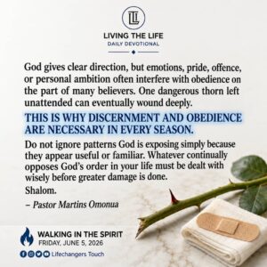 Read more about the article THE THORN THAT MUST BE REMOVED (II)