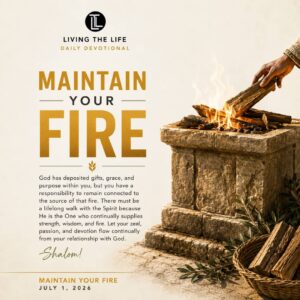 Read more about the article MAINTAIN YOUR FIRE