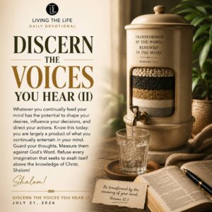 Read more about the article DISCERN THE VOICES YOU HEAR (II)